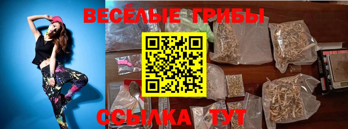 Псилоцибиновые грибы Psilocybine cubensis Лабинск