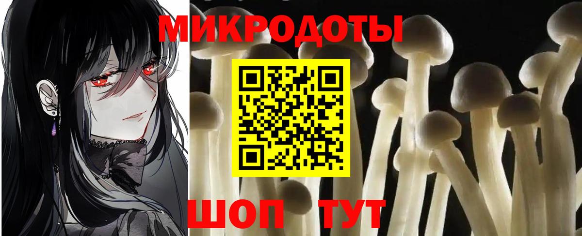 Псилоцибиновые грибы Cubensis  Лабинск 